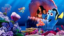 THE SEAS WITH NEMO & FRIENDS®